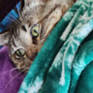 Meet your Posher, Ava